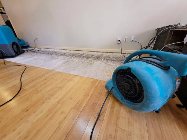 Professional Water Damage Repair technician working in Edmonds, WA